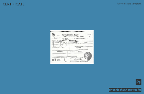 Vorschau einer Sterbeurkunde des Commonwealth of Massachusetts, USA